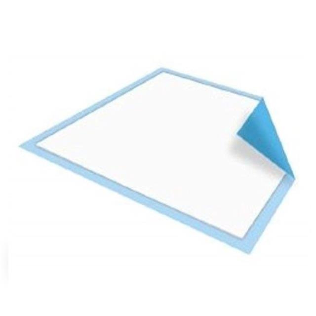 Rental store for DISPOSABLE UNDERPAD 23X36 10 PK in Tacoma WA