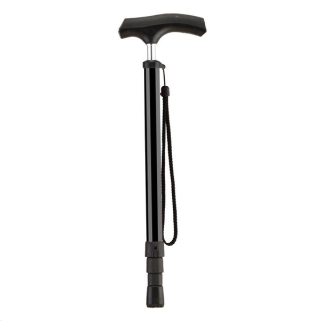 Rental store for CANE, W SEAT in Tacoma WA