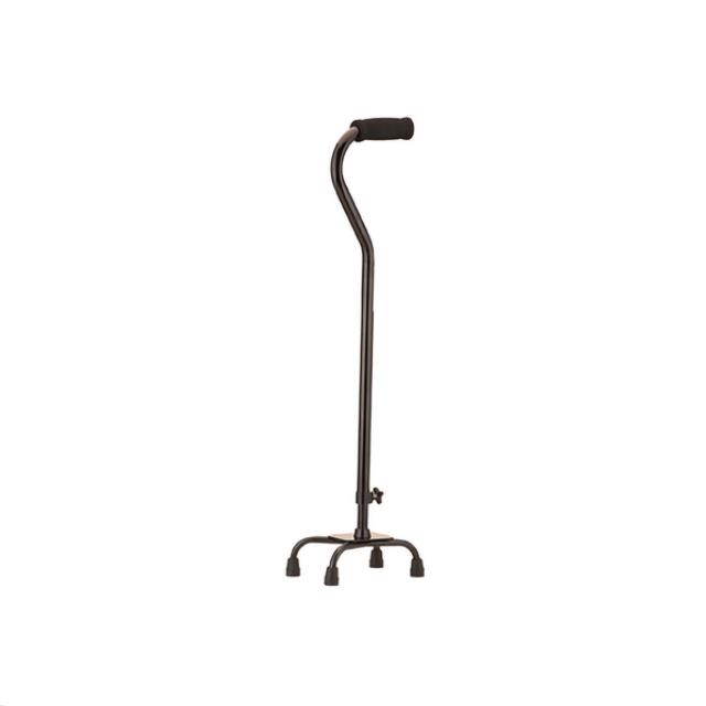 Rental store for CANE, QUAD BASE SMALL in Tacoma WA